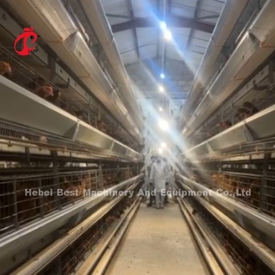 Une batterie de poulet fiable
