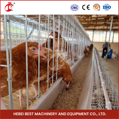 4-6 Oiseaux Poulets Cage de couche avec étoile de finition galvanisée à chaud