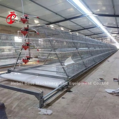 Type H automatique type H poule de poulet cage vidéo installation d'inspection sortante fournie rose