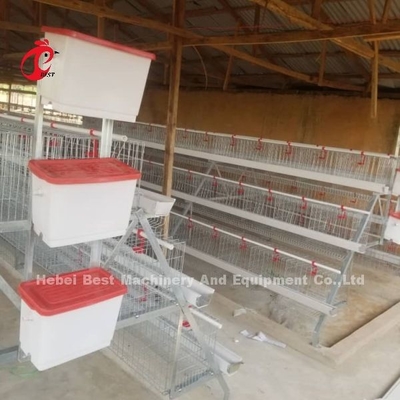 Système de cage à batterie semi-automatique de type A avec panier pour les couches d'œufs Ada