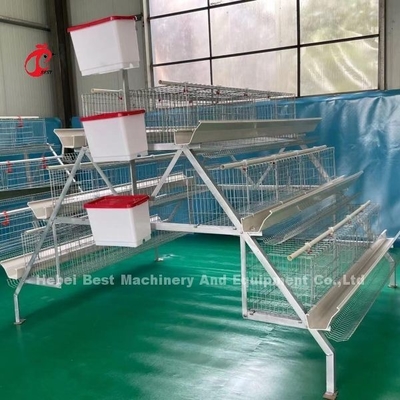 Système de cage d'élevage de volailles en fer d'angle Pour le Nigeria, la Zambie, le Kenya, le Ghana, le Cameroun, le Soudan, la Gambie, le marché de la Namibie