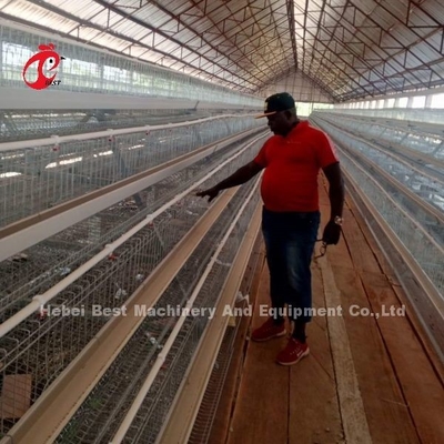 96-200 Capacité des oiseaux Cage à couche blanche au Nigéria