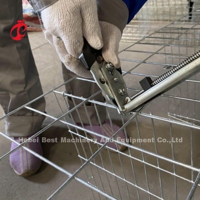 Acier galvanisé personnalisé A type poule cage de couche pour le point de poser du sable