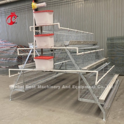 Acier galvanisé personnalisé A type poule cage de couche pour le point de poser du sable