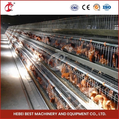 120 oiseaux galvanisés à chaud Cage à batterie de type couche de poulet Cage Mia