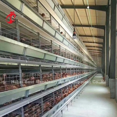 Système de cage modulaire pour volailles pour fermes à couches galvanisée à chaud capacité de cage à batterie 96-200 oiseaux sableux