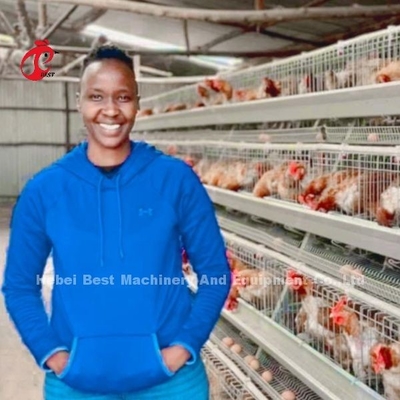 Système de cage de poulet en acier galvanisé