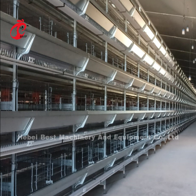 Nouveau système de cage automatique de type H de conception 96-200 Poulets Capacité pour l'élevage de volailles Emily Wang