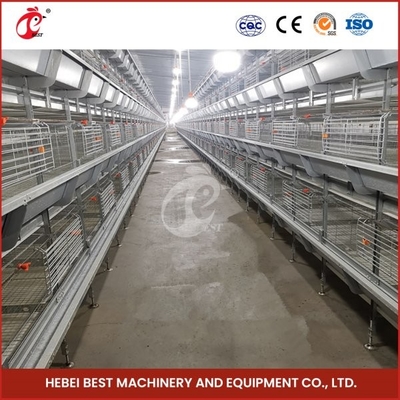 Cage de poulet de poulet de type H en forme de H avec porte coulissante 450cm2 Surface / installation vidéo d'oiseau inclus Ada