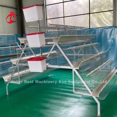3 Tier 120 oiseaux et 4 Tier 160 oiseaux couche système de cage à batterie pour l'Ouganda Tanzanie élevage de volaille Sandy