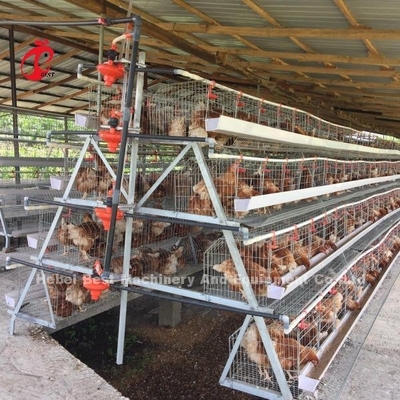 3 Tier 120 oiseaux et 4 Tier 160 oiseaux couche système de cage à batterie pour l'Ouganda Tanzanie élevage de volaille Sandy