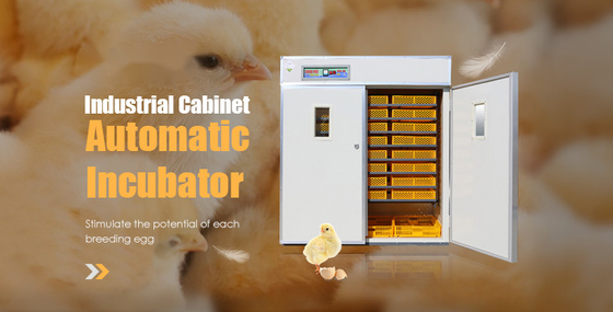 Oeuf automatique industriel hachant le voyant à niveau visible de Double-couche d'incubateur 220v
