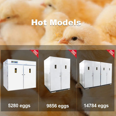 Oeuf automatique industriel hachant le voyant à niveau visible de Double-couche d'incubateur 220v
