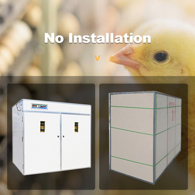 Oeuf automatique industriel hachant le voyant à niveau visible de Double-couche d'incubateur 220v
