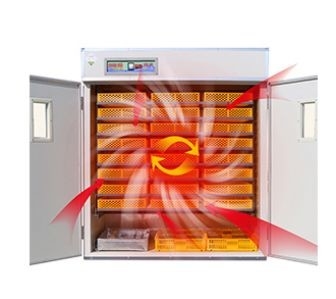 Oeuf automatique industriel hachant le voyant à niveau visible de Double-couche d'incubateur 220v