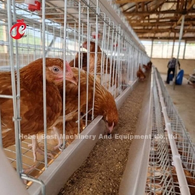 Rangée de la cage 5 de couche de batterie d'usine de la Chine avec l'équipement de volaille pour le marché Sandy de l'Afrique