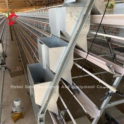 Portes de vente chaudes du système 32 de cage d'aviculture de l'Afrique pour des oiseaux Emily de ponte d'oeufs