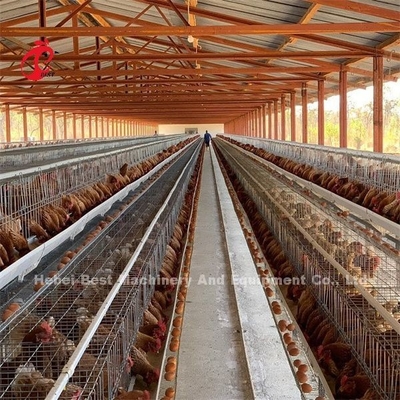 Portes de vente chaudes du système 32 de cage d'aviculture de l'Afrique pour des oiseaux Emily de ponte d'oeufs