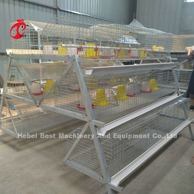 Type de la meilleure qualité iris de la ferme avicole A de cage de couvée de poulet de batterie de cage de poulet de poulette