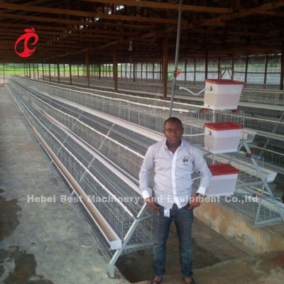 Cage de poulet de 110 kg pour élever des poulets de 432 cm2 de type A ou H Doris