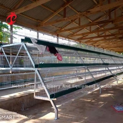 Système galvanisé plongé chaud de cage de batterie de couche pour la ferme avicole Q235 Emily en acier