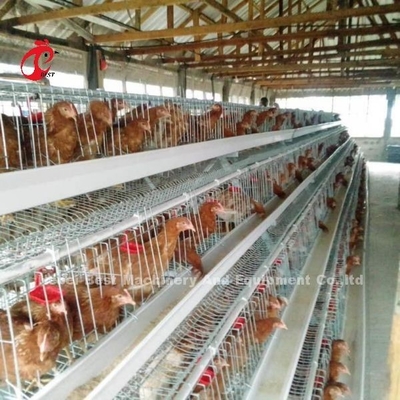 Portes de la cage 40 de couche galvanisées par système d'oeufs de cage d'aviculture en Afrique Adela