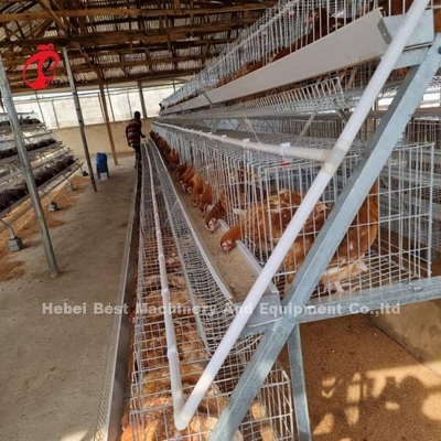 Système automatique de cage d'élevage de poulets de couche de poulets de chair avec équipement de boisson et d'alimentation