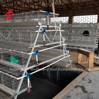 Portes de la cage 40 de couche galvanisées par système d'oeufs de cage d'aviculture en Afrique Adela