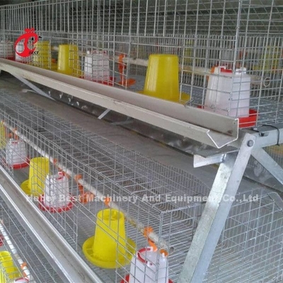 cage de poulet de poulette de 3 rangées pour 1 semaine petit Chick Brooder Cage Doris