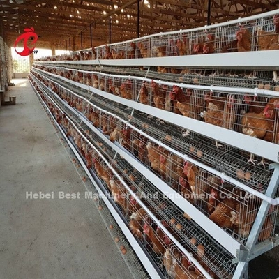 Type cage Afrique Doris du système H de cage de batterie de volaille de cadre de cornière de poulet de couche