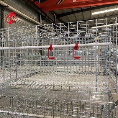 Rangées de la cage 3 de poulet à rôtir de ferme avicole, un type cage de batterie pour des poulets à rôtir Doris