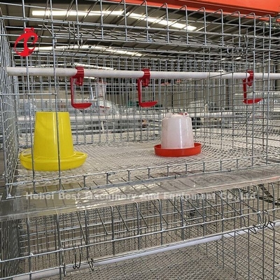 Rangées de la cage 3 de poulet à rôtir de ferme avicole, un type cage de batterie pour des poulets à rôtir Doris