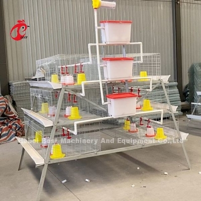 Un type de cage à batterie de poulet galvanisé à haute résistance