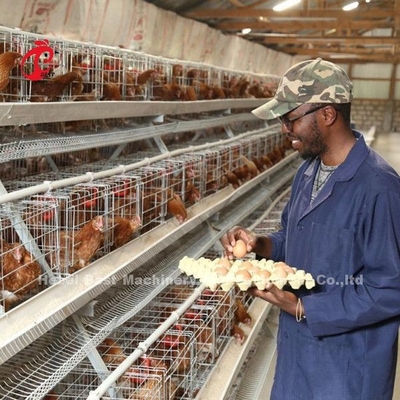Mieux un type oiseaux de la cage 500 de poulet pour la cage Sandy de poulet d'aviculture de couches