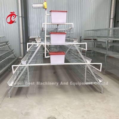 La plupart de prix populaire de cage de batterie dans l'aviculture du Nigéria Adela galvanisée à chaud