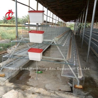 Un type système automatique Sandy de H de cage de poulet d'éleveur d'équipement de volaille de couche