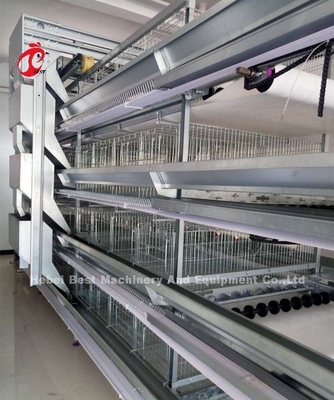 Un type système automatique Sandy de H de cage de poulet d'éleveur d'équipement de volaille de couche