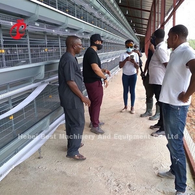 Un type poulet d'oiseaux de la cage de batterie de volaille 120 étendant la cage Afrique Doris d'oeufs