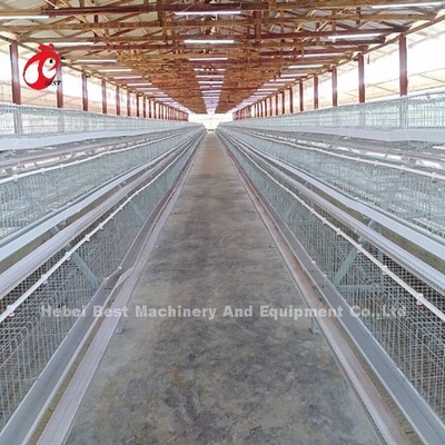 Un type poulet d'oiseaux de la cage de batterie de volaille 120 étendant la cage Afrique Doris d'oeufs
