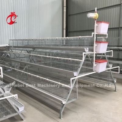 Cage galvanisée froide Adela de poulet de ponte d'oeufs de portes du système 40 de cage de batterie de volaille