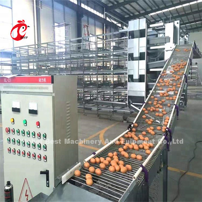Le type rangées de H du système 4 de cage de batterie de couche posent l'approbation Sandy de la CE d'équipement de ferme avicole
