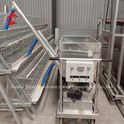 Cage manuelle de volaille de volaille de couche d'oiseaux semi automatiques de la cage 15000 dans l'iris du Nigéria