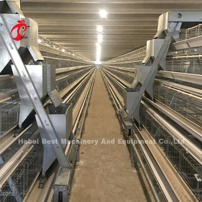 Froid automatique de cage de volaille de batterie galvanisé pour étendre des poulets dans l'iris du marché de l'Afrique