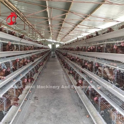 Un type manuel d'œufs de poules poules de la cage Emily