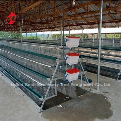 Type de la meilleure qualité de H prix de cage de batterie de couche dans l'iris stable du Nigéria