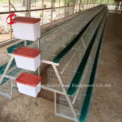 Système de la meilleure qualité et de luxe d'entrepôt du Nigéria de volaille de batterie de cage pour des poulets Sandy de couche