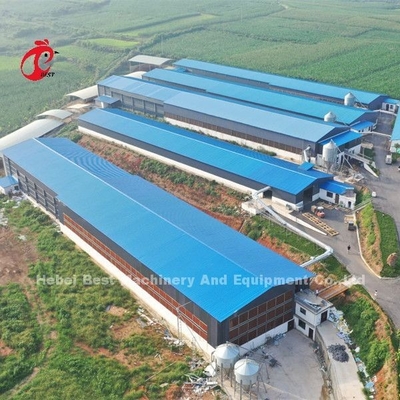 Système de la meilleure qualité et de luxe d'entrepôt du Nigéria de volaille de batterie de cage pour des poulets Sandy de couche