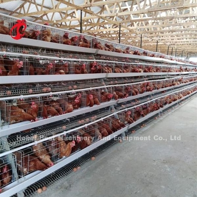 Conception de Chambre de dureté étendant le système de cage de batterie de poulet avec la cage Mesh Iris