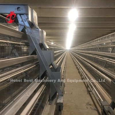 Un type système automatique de cage de couche avec l'équipement de volaille dans l'iris du Nigéria