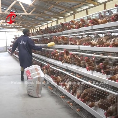 La Chine a importé la cage de batterie enduite de poulet ISO9001, porte Sandy du système 4 de cage de poulet de couche